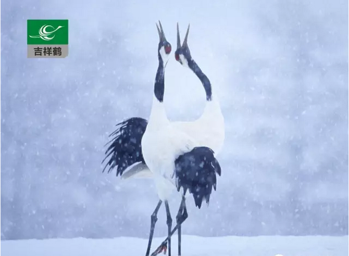 MG動畫(huà)淺談聲音的創作(zuò) MG動畫(huà)淺談聲音的創作(zuò)