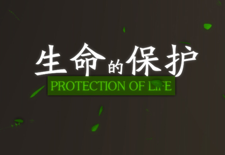 生(shēng)命的保護   生(shēng)命的保護