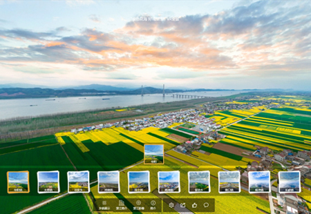 金色花海 好戲望江 VR全景2億像素 金色花海 好戲望江 VR全景2億像素
